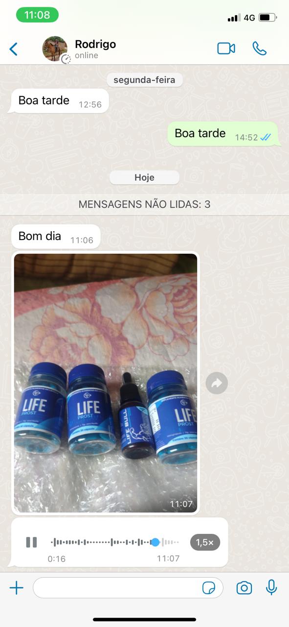 WhatsApp Image 2024-04-03 at 11.09.37 AM